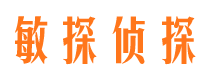 古塔市私家侦探